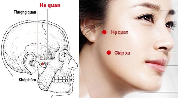 Bấm huyệt hạ quan là một trong những điểm quan trọng mà chúng ta có thể kích thích để giảm đau răng